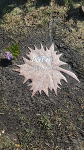 meisterlich herausgearbeitet